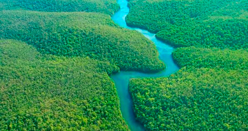 selva amazonica