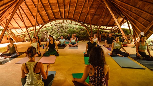 yoga en la selva